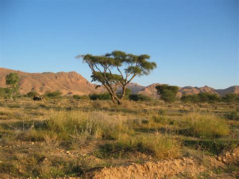 National Parks in Tunisia, Tunisia | TourismTunisia.com