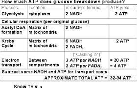 How many ATP, NADH, and FADH2 are produced and each step of cellular ...