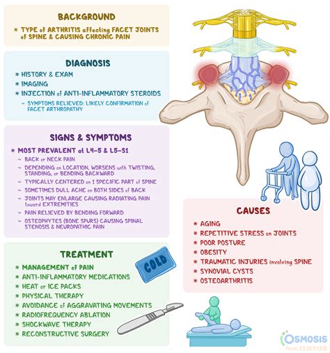 Facet Arthropathy: What Is It, Causes | Osmosis