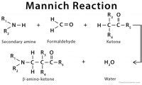 Nessler’s Reagent: Definition, Formula, and Uses