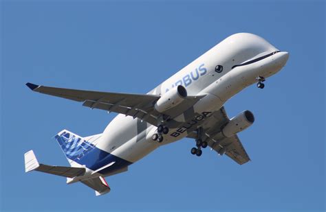 Beluga XL Airbus replaced the Airbus Beluga - A cargo aircraft