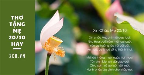 Thơ Vui 20/10 ️ Thơ Chúc 20/10 Hài Hước Nhất 2022 - EU-Vietnam Business ...