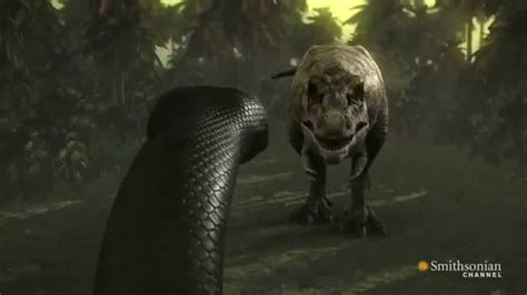 Titanoboa vs anaconda - zikmoo