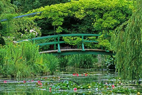 The Japanese Bridge at Claude Monet's garden at Giverny Photograph by ...