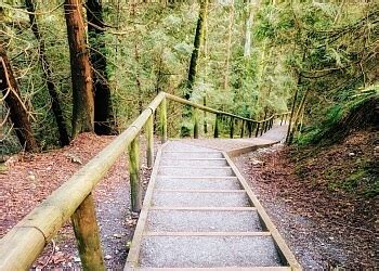 3 Best Hiking Trails in Burnaby, BC - ThreeBestRated