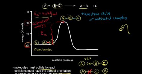 Click On The Point Of The Energy Diagram That Represents The Activated ...