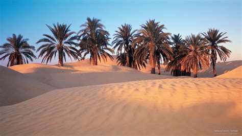 Sahara Desert, Tunisia | Deserts of the world, Tunisia, Landscape photos