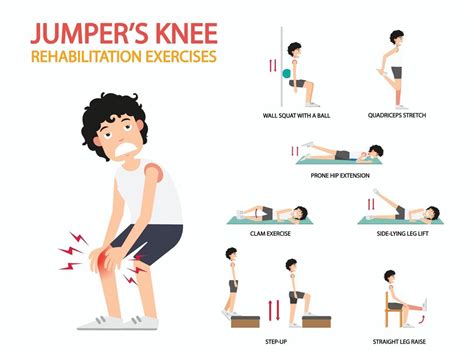 jumper's knee rehabilitation exercises infographic, illustration ...