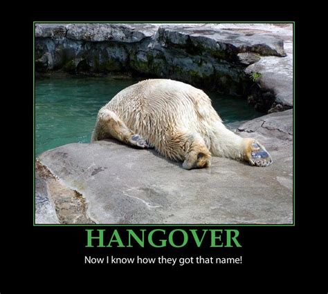 Hangover Funny Quotes And Sayings. QuotesGram