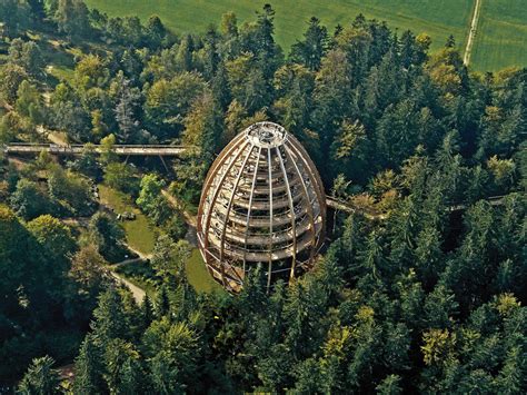 The Most Amazing Treetop Walks to Experience in Germany