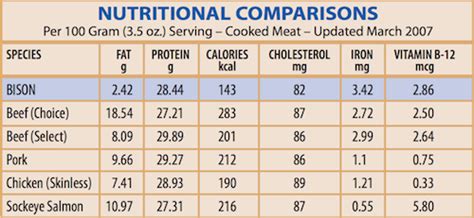 bison meat nutrition