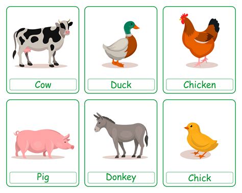 Printable Farm Animal Flash Cards