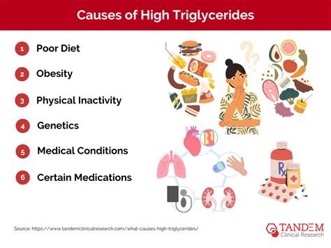 High Triglycerides: Causes, Risks, and Management