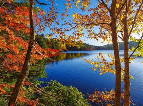 Autumn Lake Bliss - Nature HD Wallpaper