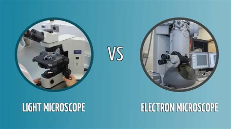 Light Microscope Vs Electron Microscope Life In Atomic Resolution ...