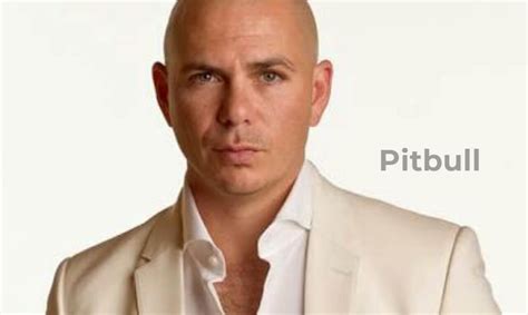 Pitbull Albums Ranked | Return of Rock