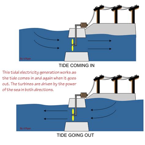 Open-mindedness: Using Tidal Power To Produce Electricity At St John’s ...