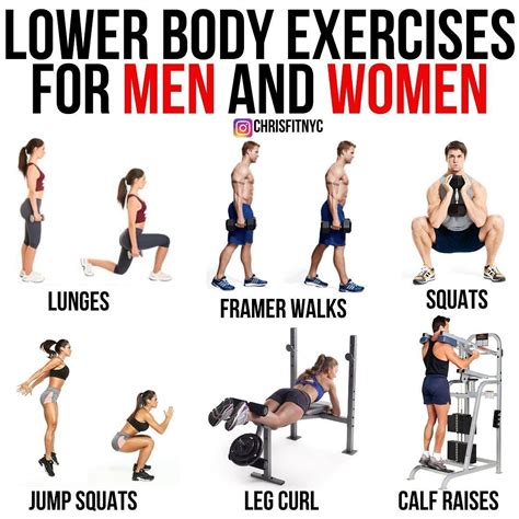 Dumbbell Workouts for Stronger and Leaner Legs