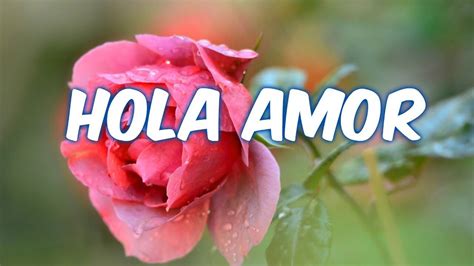 Imágenes de Hola Amor | Muy Bonitas para Sorprender a tu Pareja