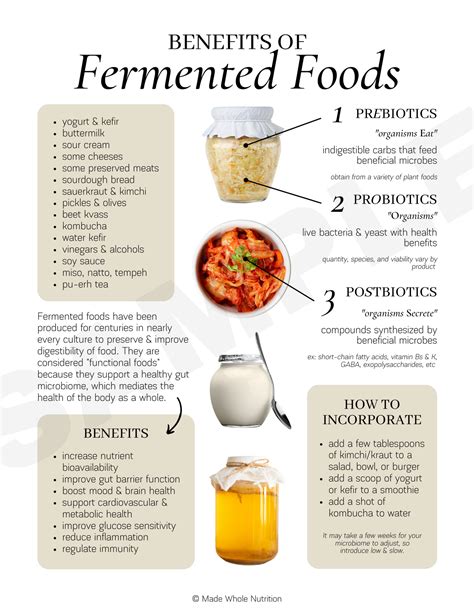 Benefits of Fermented Foods Handout — Functional Health Research ...