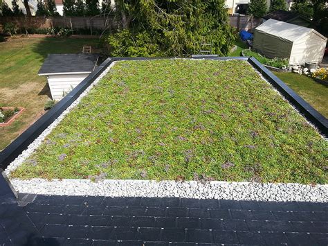 Green Roof Installation - BestWest Group