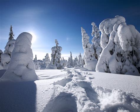 Finnish Lapland snow-covered wallpaper Preview | 10wallpaper.com