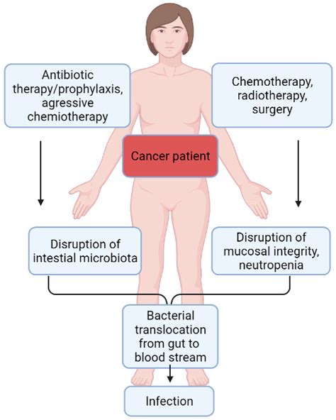 Pseudomonas Aeruginosa Uti Treatment - Carpet Vidalondon