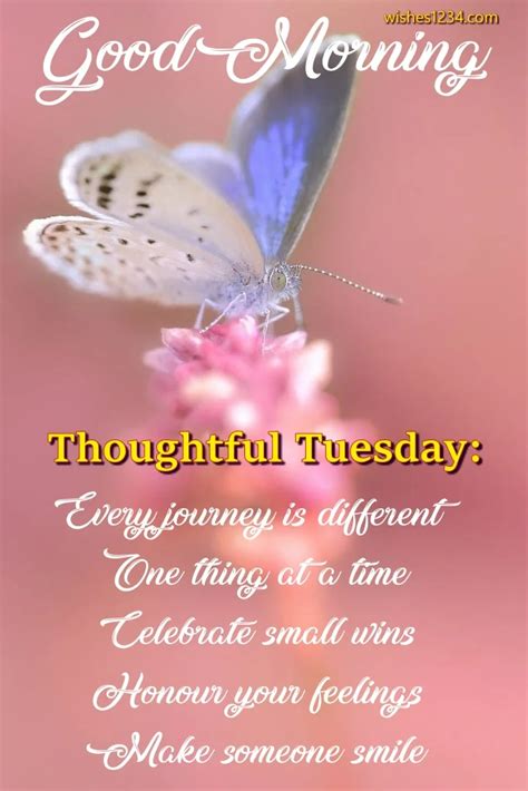 Happy Tuesday Quotes| Tuesday Quotes - wishes1234 | Happy tuesday ...