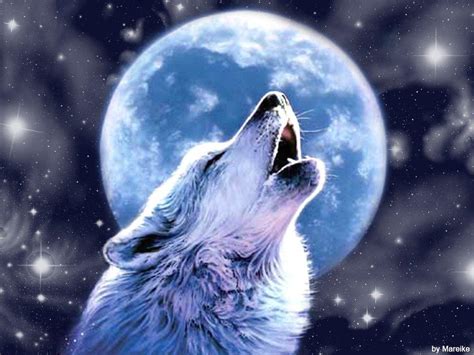 Wolf Howling Wallpapers - Wallpaper Cave