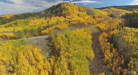 Check Out This Amazing Video of the Grand Mesa Fall Colors (VIDEO)