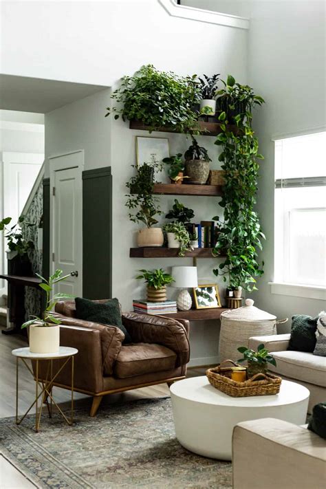 Creative and Inspiring Plant Wall Ideas for Your Home