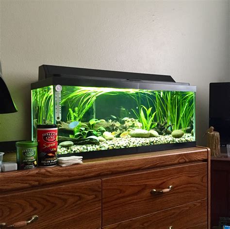 20 Gallon Long Aquarium