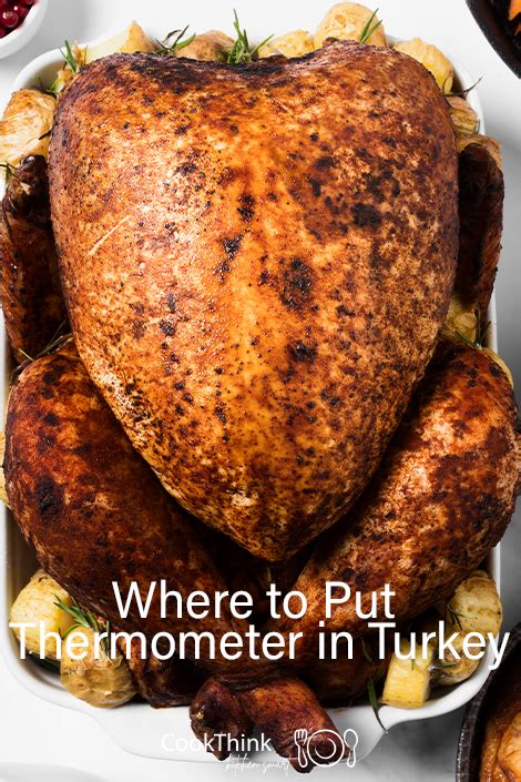 Where to Put Thermometer In Turkey and More! - CookThink