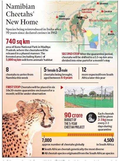 Cheetah Reintroduction in India - Optimize IAS