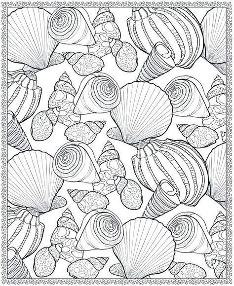 Coloring Pages Sea Shells at GetDrawings | Free download