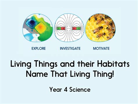 Living things and their habitats - Name That Living Thing! - Year 4 ...