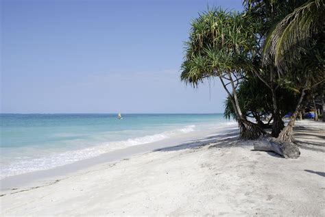 Kiwengwa beach, Zanzibar, Tanzania - Ultimate guide (November 2024)