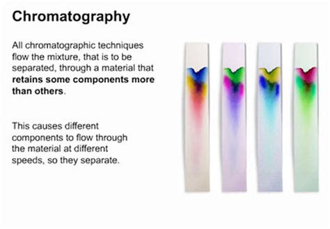 PAPER CHROMATOGRAPHY ~ - Ainin Sofiyah