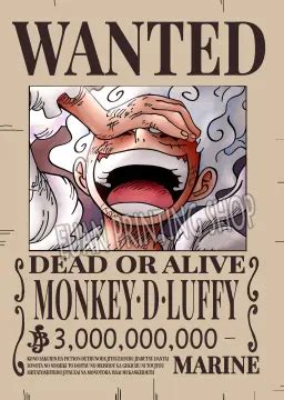 One Piece Wanted Poster Luffy