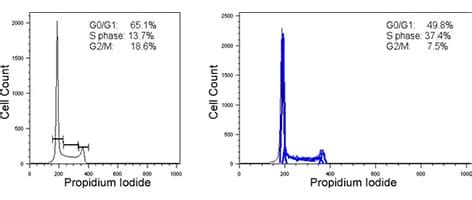 Cell Cycle Analysis - astonishingceiyrs