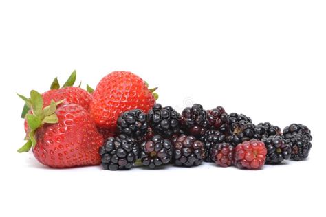 Berry Types stock photo. Image of strawberry, produce - 19937880