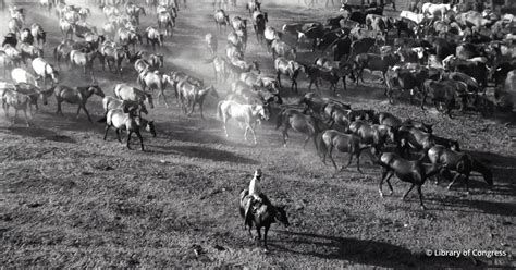 King Ranch Heirs: Is King Ranch the Biggest Ranch in the World?