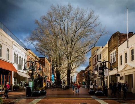 Top Charlottesville, VA Attractions | Historical Sites & Wineries