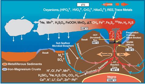 Chemosynthesis Diagram For Kids