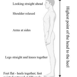 Stature for measurement. | Download Scientific Diagram