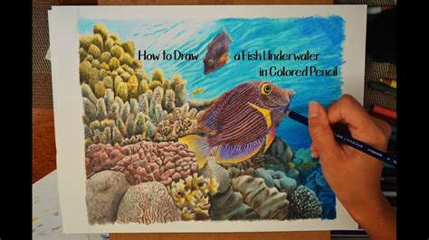 How to Draw a Realistic Fish Underwater in Colored Pencil - YouTube