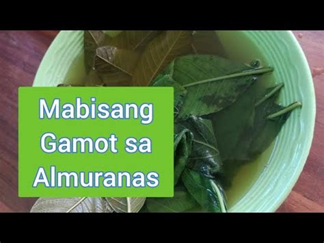 Anong Gamot Sa Almoranas Ointment : Ano Ang Halamang Gamot Sa Almoranas ...