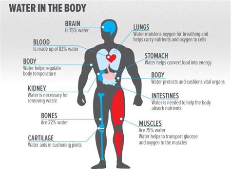 Hydration - A simple and easy way to improve your health