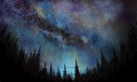 HD wallpaper: aurora borealis, sky, stars, meteors, night, trees ...