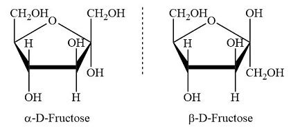 Fructose: Draw the structure of the D form, the Fischer projection, and ...